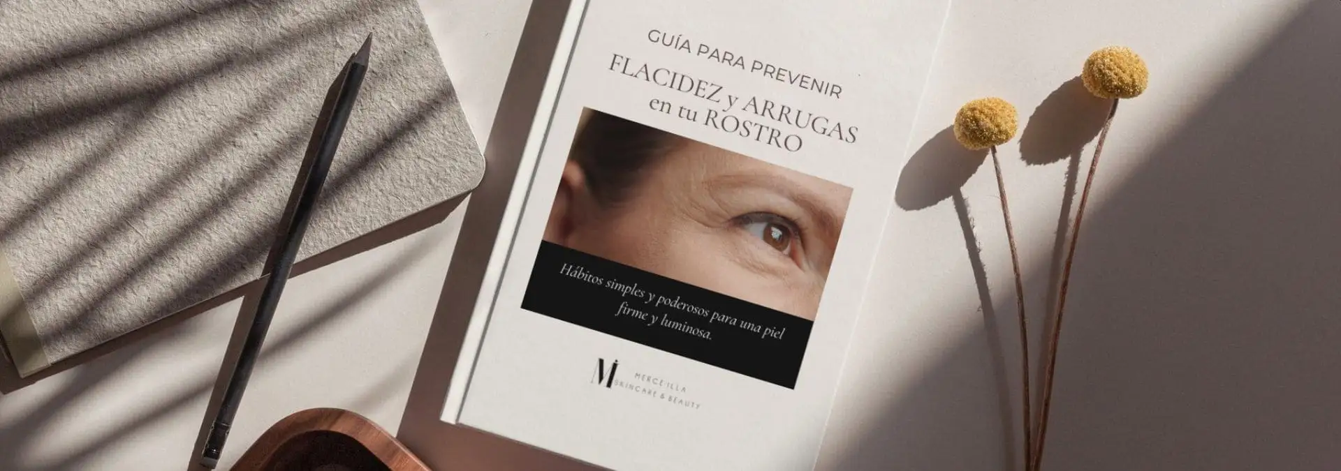 banner guia